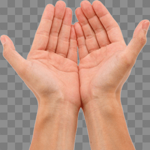 Hands transparent background