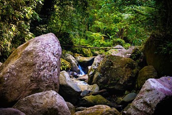 Hanging Bridge on a Rock Formation