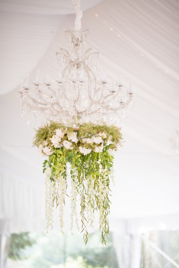 Hanging Green Plant on White Chandelier