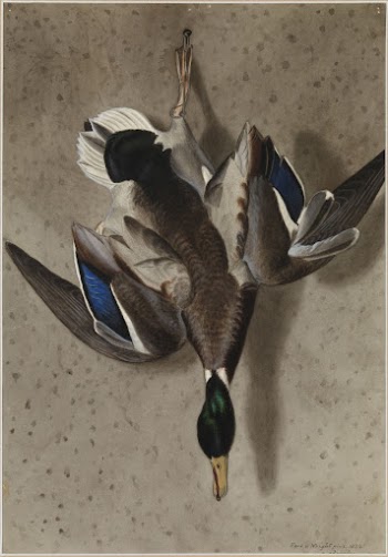 Hanging mallard, 1834, by Ferdinand | Free Photo - rawpixel