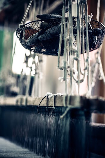 Hanging Mesh Net