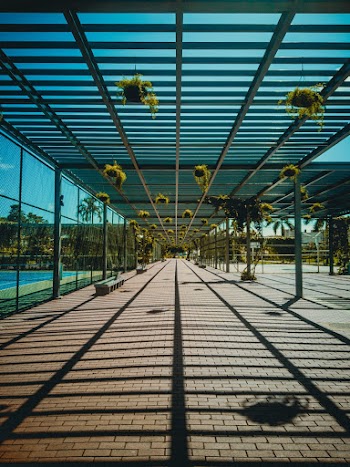 Hanging Plants on the Walkway