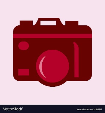 Hanging vintage camera vector image
