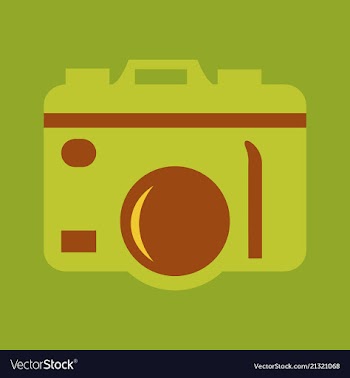 Hanging vintage camera vector image
