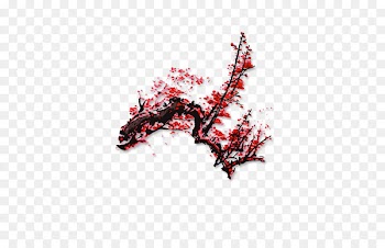Hanoi Lunar New Year Lunar calendar Ochna integerrima - Plum flower 