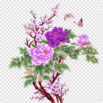Hanoi Phxfa Quxfd Mudan District Flower, Flowers transparent background PNG clipart