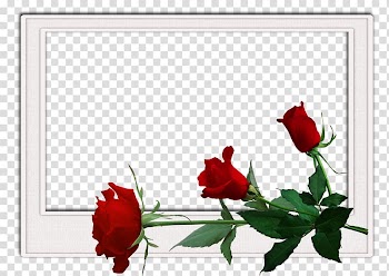 Happiness Wish International Men's Day Prayer Blessing, flowers frame transparent background PNG clipart