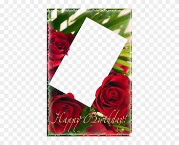 Happy Birthday Png Frame With Roses - Happy Birthday Frame Download