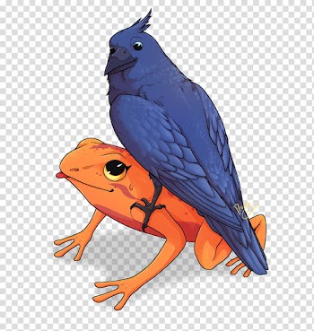 Happy Birthday Will transparent background PNG clipart