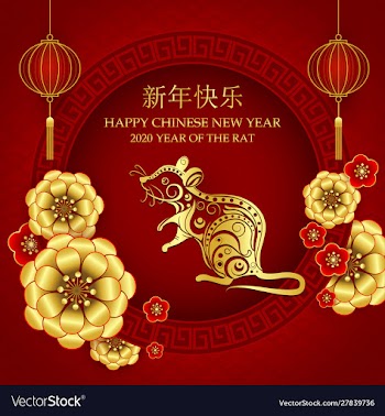 Happy chinese new year 2020 year rat vector image