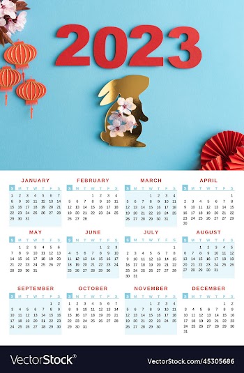 happy chinese new year 2023 the year of rabbit