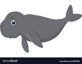 happy cute cartoon manatee swimming