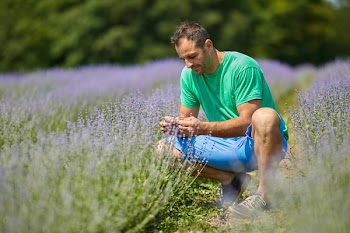 Happy farmer in his lavender plantation in a sunny day