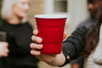 Happy friends toasting to celebrate | Free Photo - rawpixel