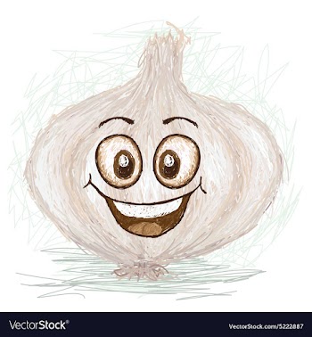Happy garlic cartoon character smiling vector image