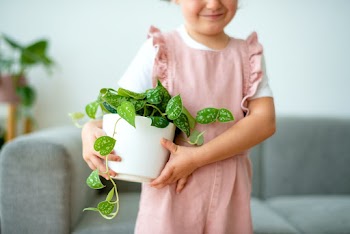 Happy kid holding a small potted plant at… | Free stock photo | High Resolution image