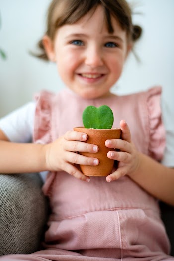 Happy kid holding a small potted plant | Free stock photo | High Resolution image