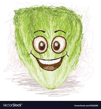 Happy lettuce vegetable cartoon character smiling vector image