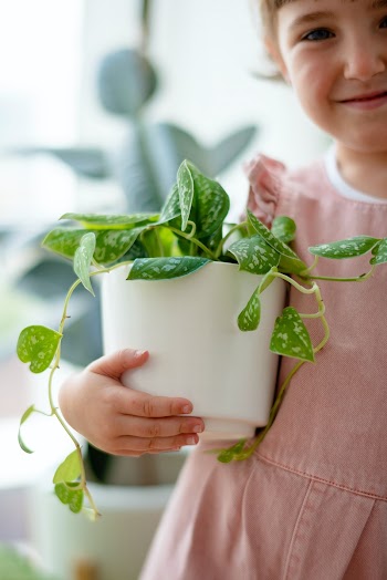Happy little girl at home with indoor plants | Free stock photo | High Resolution image