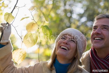 Happy mature couple looking up at tree in park
