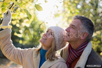Happy mature couple looking up at tree in park