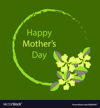 Happy mothers day calligraphy background vector image