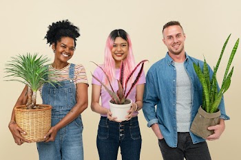Happy plant parents holding their potted… | Free stock photo | High Resolution image
