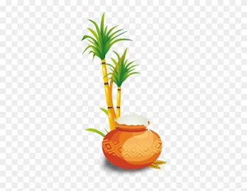 Happy Pongal Dia, Happy Pongal, Pongal, Tamil Festival - Pongal Graphics