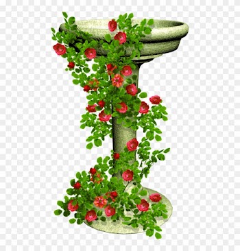 Happy Rose Day