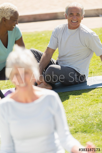 Happy seniors practicing yoga on sunny lawn