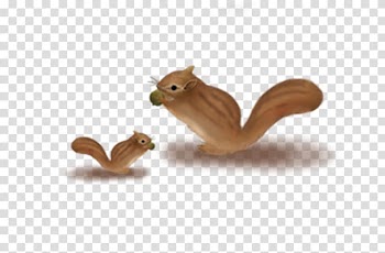 Happy Squirrel Chipmunk , squirrel transparent background PNG clipart