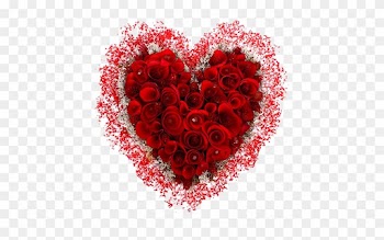 Happy Valentine's Day - Garden Roses