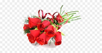 Happy Valentines Day Wishes - Wedding Anniversary Wishes For Sister