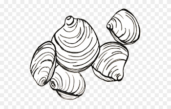 Hard Clam - Aquaculture - Free Transparent PNG Clipart Images Download
