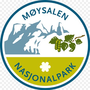 Hardangervidda National Park Fulufjellet National Park Gutulia National Park Forollhogna National Park - park 