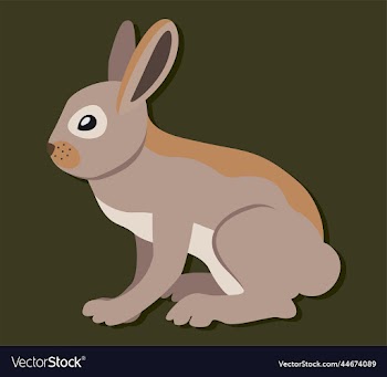 hare