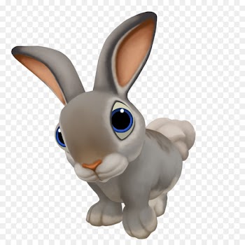 Hare Angora rabbit Easter Bunny Domestic rabbit Cottontail rabbit - rabit 