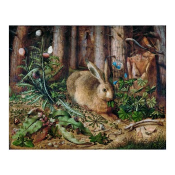 Hare art print painting, remixed | Free Photo - rawpixel