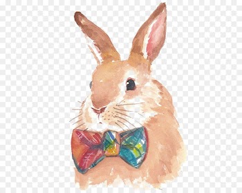 Hare Bunnies & Rabbits Watercolor painting Drawing - Hand-painted rabbit 