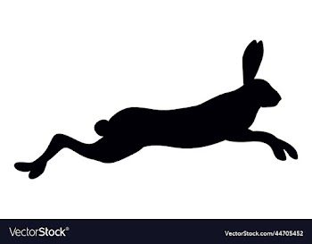 hare bw