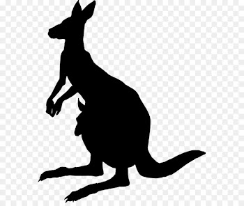 Hare Clip art Fauna Silhouette Pet -  