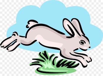 Hare Clip art Openclipart Free content Illustration - rabbit 