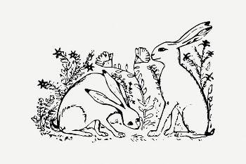 Hare collage element, wild animal | Free PSD Illustration - rawpixel