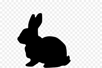 Hare Easter Bunny Vector graphics Clip art Rabbit -  