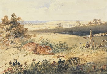 Hare in a Landscape | Free Photo - rawpixel