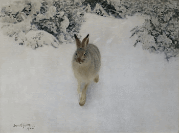 Hare in Winter (1905) painting | Free Photo - rawpixel