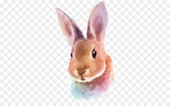 Hare, Watercolor Painting, Painting, Rabbit, Rabbits And Hares PNG