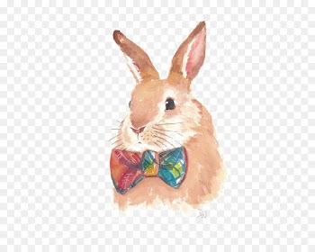 Hare Watercolor painting Rabbit Drawing - rabbit 