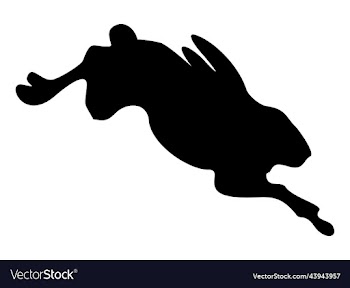 hare3