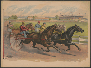 [Harness race between four horses | Free Photo - rawpixel